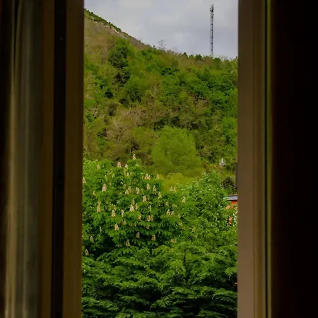 Erald